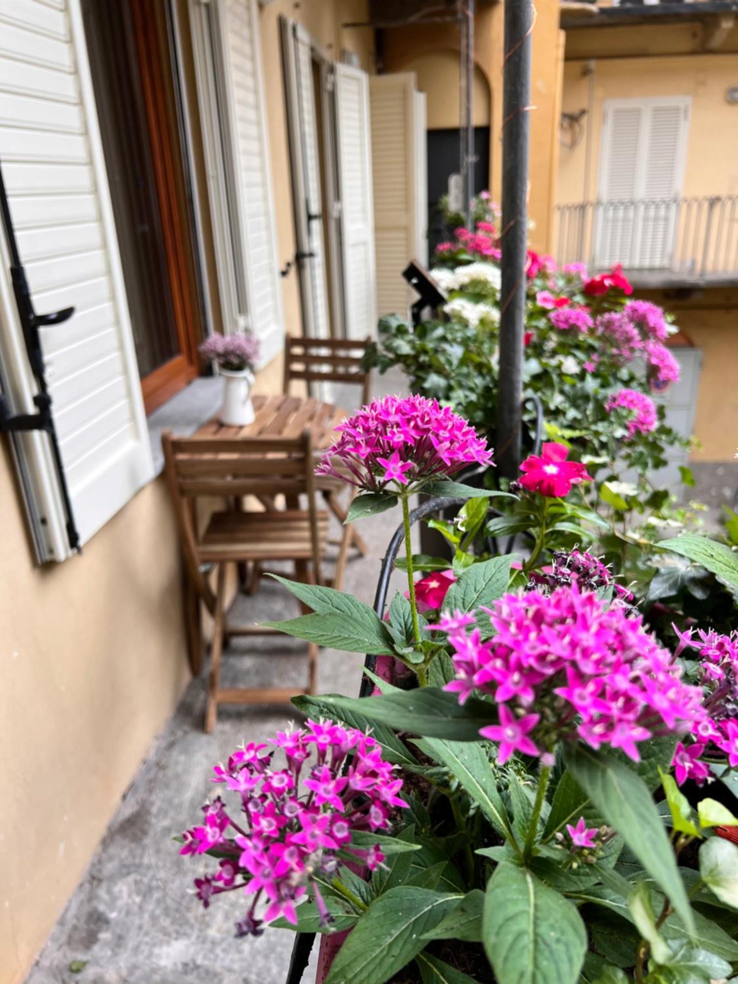 La Corte Luxury Suite - Torino Centro Zewnętrze zdjęcie